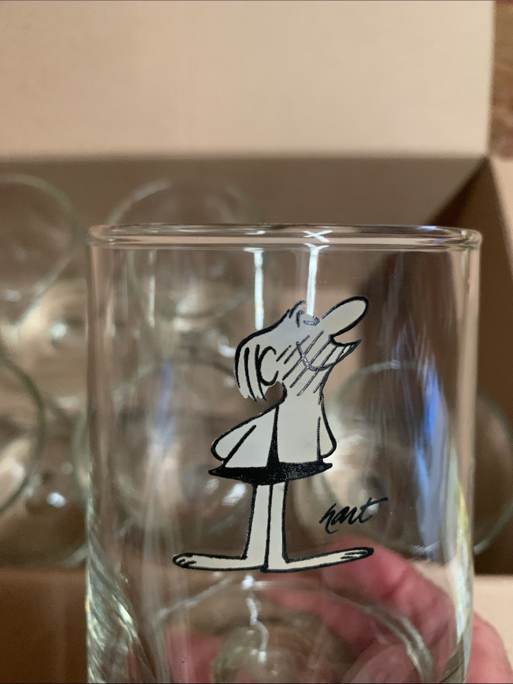 B.C. Glasses (6)